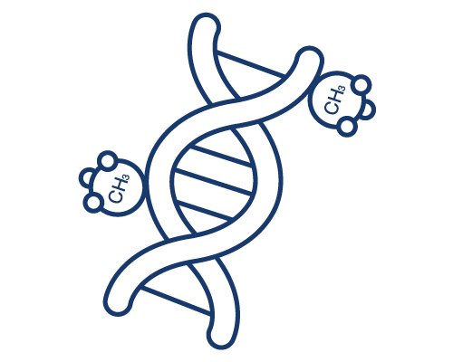 Epigenetische Analysen
