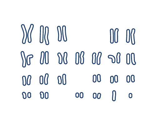 Molekulares Karyotyping