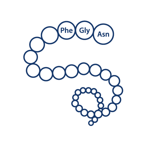 Proteomik - LIFE & BRAIN GmbH