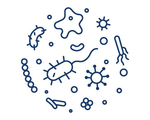 Microbiome